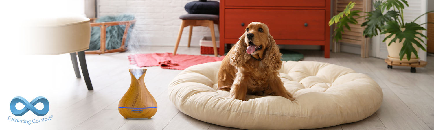 8 Essentials For Dog Owners